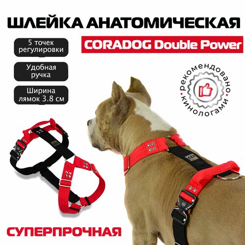        ,  , , CORADOG Double Power     ,  M, ,    -     , -  