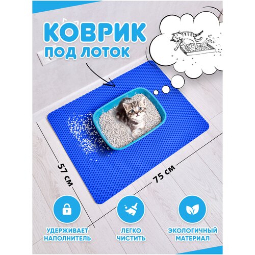 ���� ������ ��� ����� ��� �����/������ ��� ����� ��� ����� / ������ ��� ����� / ������ ��� ������� (�����) 75*57��, ������ ������