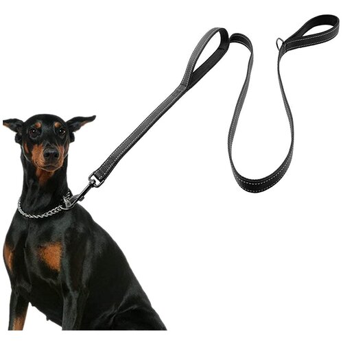   Petsy Zoowell 2HLeash