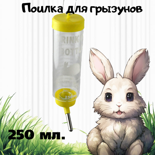 ���� ������ ��� �������� ������ 250 ��/������ ��� ��������, ������� ������ , ������ � ���� 2 ���������, ������ ������