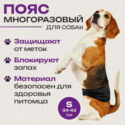 ���� ���� ��� ������� ������������ ������� �����, ��������, ���������� � ���� ������� �� ��������, ������ ������