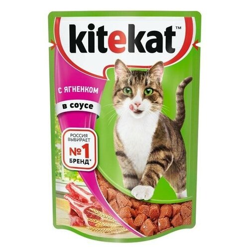    Kitekat  , , 85 (28 .)   -     , -,   