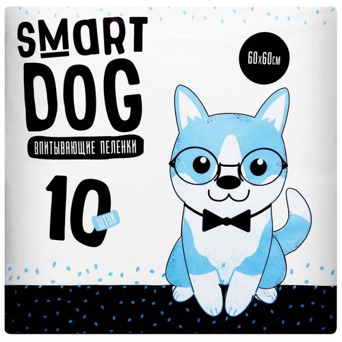   Smart Dog  60*60, 10 
