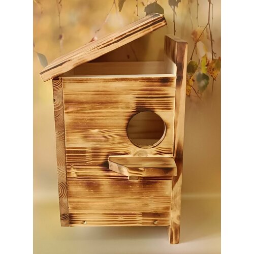 ���� ����� ��� ����� ����������- �������� � ������������� ������, ������ ������