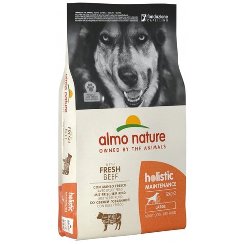  Almo Nature -        (large adult beef and rice holistic) 12    -     , -,   