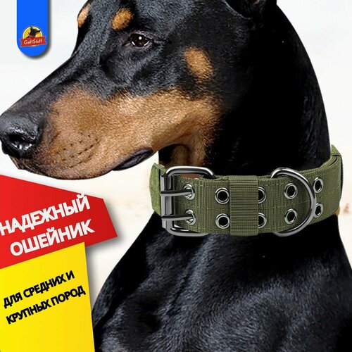 ���� ������� ��� ������� ����� � ������ ������� � ������� �����, �������, ����������, � ���������, ������ ������