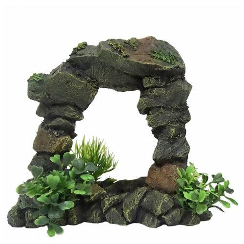 ���� ��������� ��� ��������� AQUA DELLA 