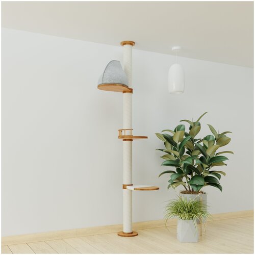 ���� ���������� ��� ����� �� ������� � ������ �� ������������ ���� 234-249 �� Catsby Family Tree, ������ ������