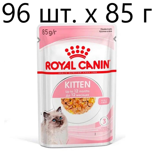      Royal Canin Kitten, 9 .  85  (  )