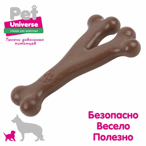     Pet Universe  Y-  1711 , , PU8005   -     , -  