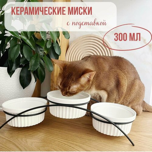 ���� ����� ��� �������� ������������ �������, ������ ������