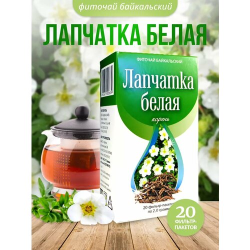 ���� �������� ����� ������ 20 ������ ������� �������, ������ ������