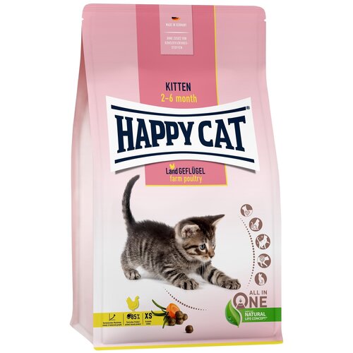    Happy Cat Kitten 4 ,     (  2  6 ),      -     , -,   