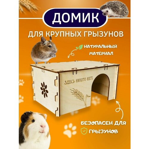 ���� ����� ��� ���� ������� �������� ������� ������ ���� �����, ��� ��� �������� ����������, 14�27�18 ��, ������ ������