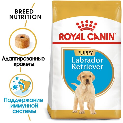  ROYAL CANIN 3         -     , -,   