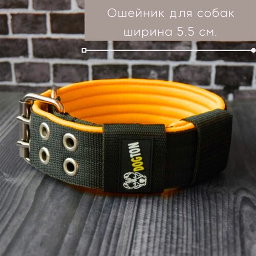 ���� ������� ��� ����� ������� � ������� �����, �������. ������ 5 ��. ������ 35-47 ��. ������ � ���������. ��������� ������., ������ ������