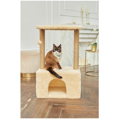 ���� ������� ����� � ������������ 