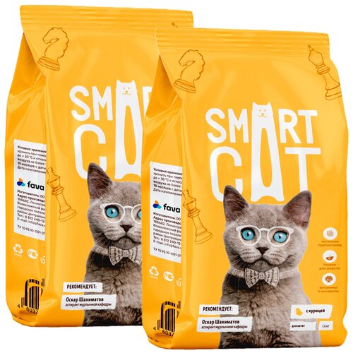  SMART CAT     (1,4 + 1,4 )   -     , -,   