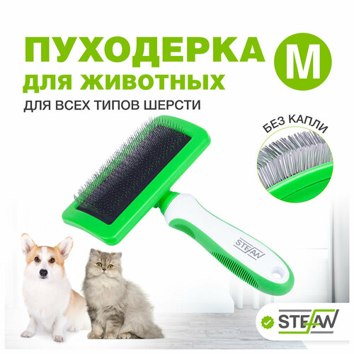 ���� ��������� �����, �������� ��� �������� STEFAN (������), M, GSN121, ������ ������