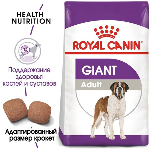  Royal Canin Giant Adult (4 )   -     , -,   