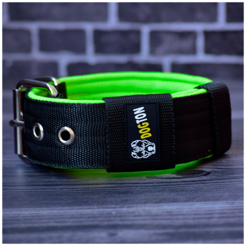 ���� ������� ��� ����� DOGTON. ��� ������� � ������� �����. ������ ������. ������� ��������. ������� ���������., ������ ������