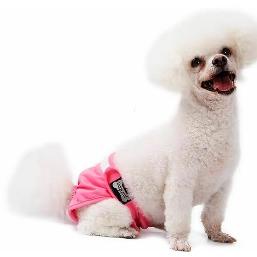 ���� ����� ������������ PET&HOME ��� �����, ��������� ��� �����, ���������, �������, ������ XS, ������ ������