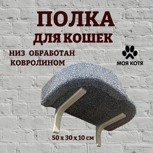 ���� ������� ��� ����� ��������� ����� ��� ����, ���� �������, ������ ������