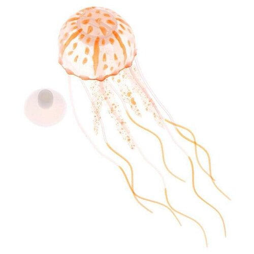 ���� ������������� ������ �� �������� ��� ���������, ������ ������