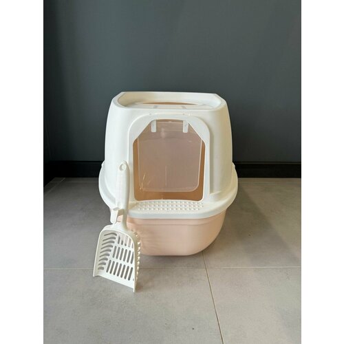 ���� �������� ����� (������) ��� ����� 