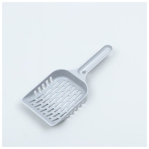 ���� ����� ��� ������ ��������� �������, �����, ������ ������