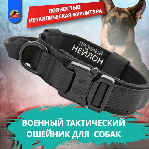 ���� ����������� ������� ��� ������� ����� � ������ ������� � ������� ����� � ������, �������, ����������, � ���������, ������ ������