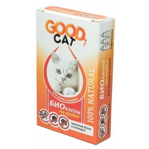             1 (. 3) Good Cat   -     , -,   