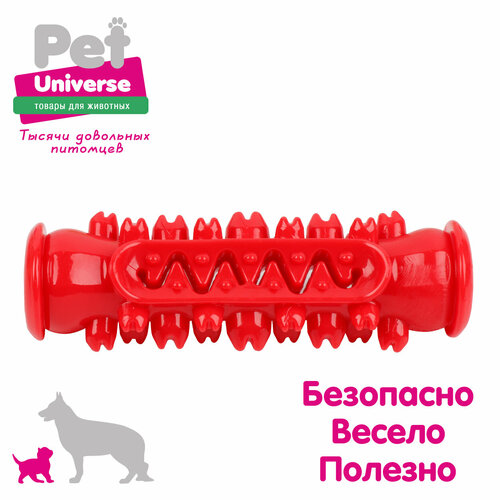     Pet Universe  -        154 , , , PU3076R   -     , -  