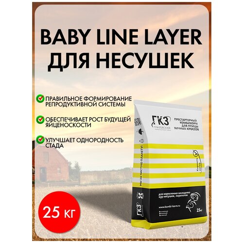       BABY LINE LAYER, 25 .   -     , -,   