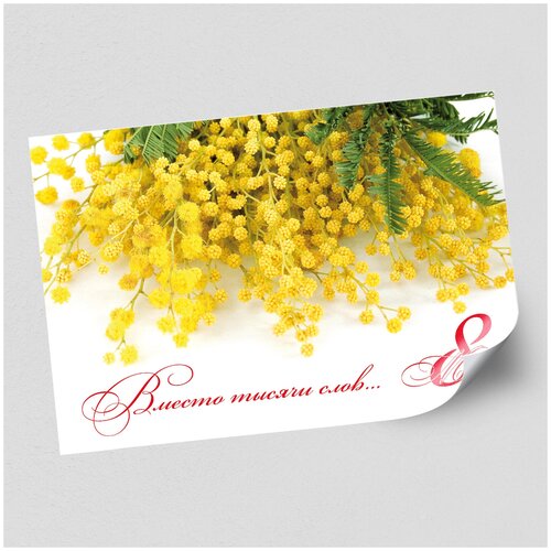 ���� ����������/������ �������������� �� 8 �����, ������ �-2 (60x42 ��.), ������ ������