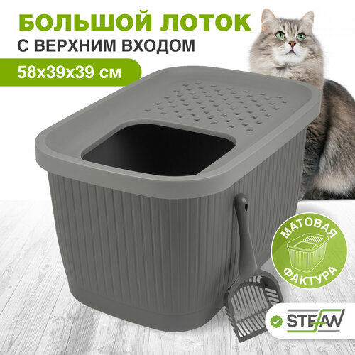 ���� ����� ��� ����� STEFAN (������) �������, �������� � ������� ������,(�L), 58�39�39��, �����, AT10071, ������ ������