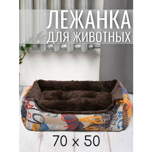 ���� ������� ��� ����� �����, ����� ��� �������� ������ � ������� �����, � ��������, ������ 70 ��. ����: ��� �����, ������ ������