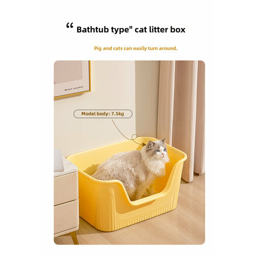 ���� ���� ��� ��������� �������, � ������� �� �����, �������, ������, ������ ������