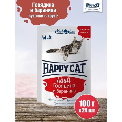  Happy Cat Adult       (24.)   -     , -,   