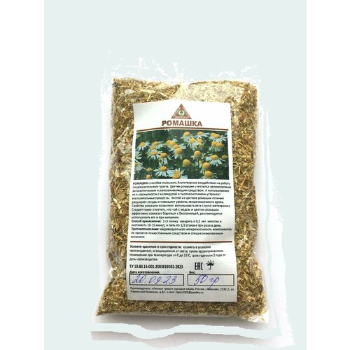 ���� ������� 100��. ������ ����������, ������ ������