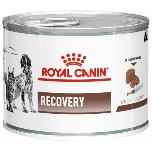     / Royal Canin RECOVERY CANINE/FELINE ( /)    12  x 0.195