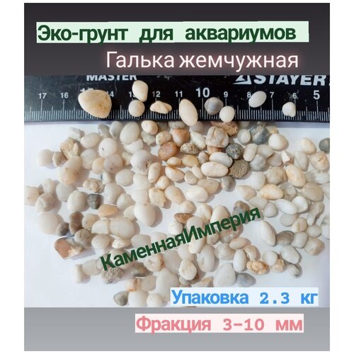 ���� ���-����� ��� ��������� 