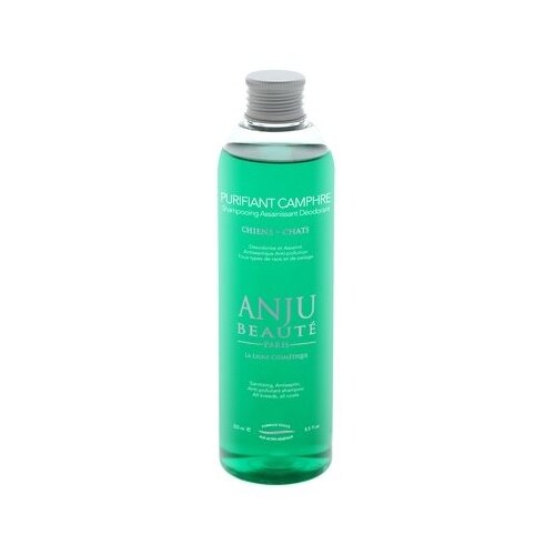  Anju Beaute    :     (Purifiant Camphre Shampooing) (AN704) | Purifiant Camphre Shampooing 0,26  50333 (2 )