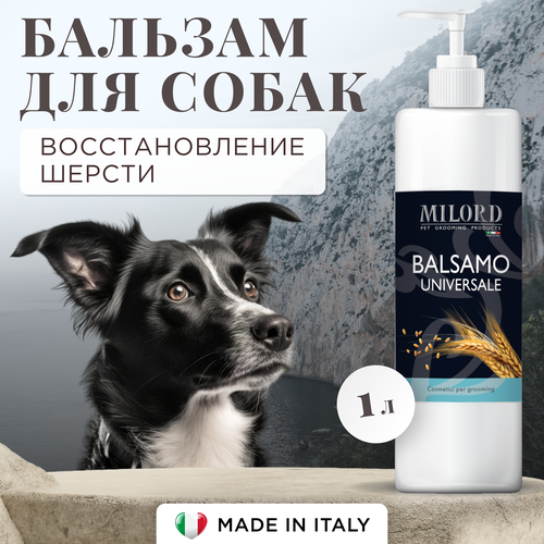 ���� ������� ��� ����� � ���������� ������� ��� ���� �����, ���������� ��������������� � ��������� ��� ���� ������, MILORD, ������, ���������� 1:10, 1 ����, ������ ������