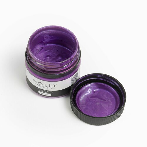 ���� Holly Professional ���� �� ������� ������ / ������ ��� ����, ����� � ���� Color Gel Violet, ������ ������
