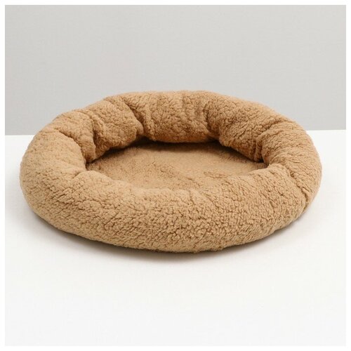 ���� ������� ��� ����� � ����� 