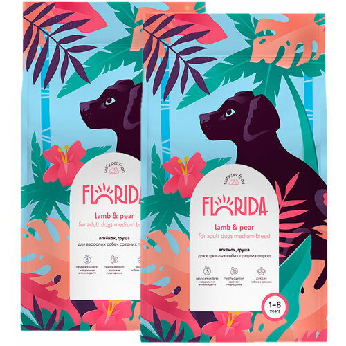    FLORIDA          (3 + 3 )   -     , -  