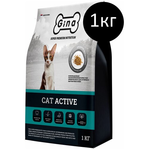       Gina Cat Active, 1    -     , -,   