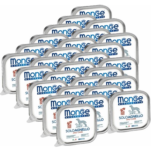  Monge Dog Monoprotein Solo B&S       150  28 .   -     , -,   