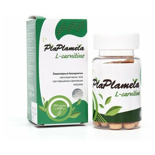  Plaplamela L- - 120    -     , -  